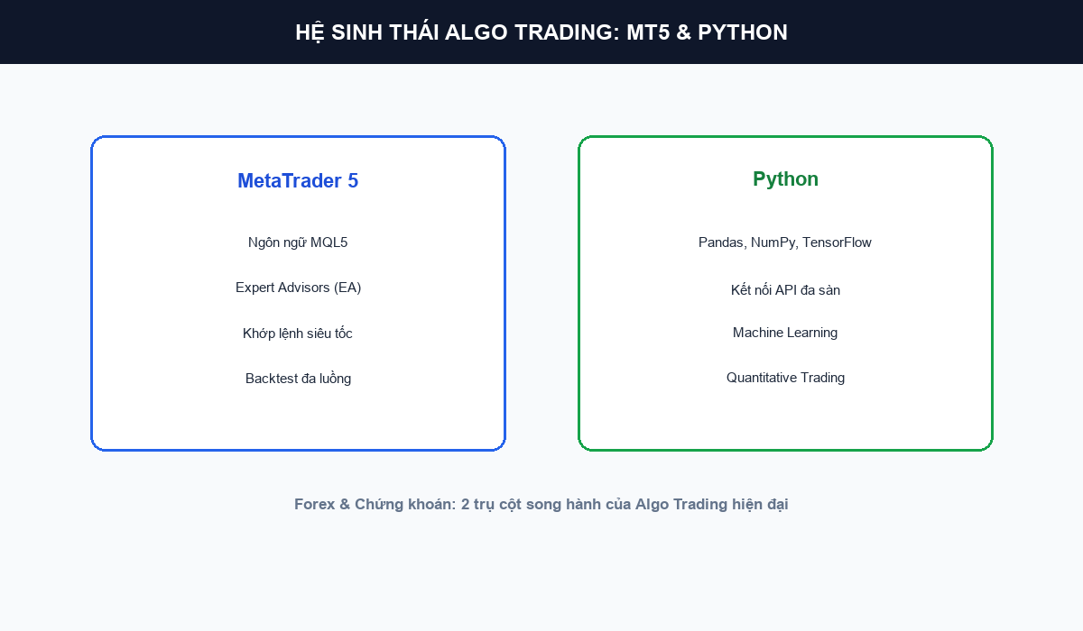 So do he sinh thai MT5 va Python cho Forex va Chung khoan